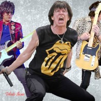 Rolling Stones Tribute Show