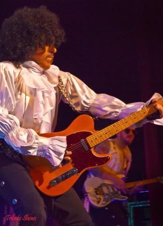 Prince Tribute Act